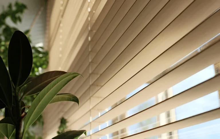 Close-up of warm wooden shutter slats beside a green plant